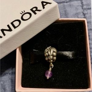 Rare retired bunch of grapes Pandora bead